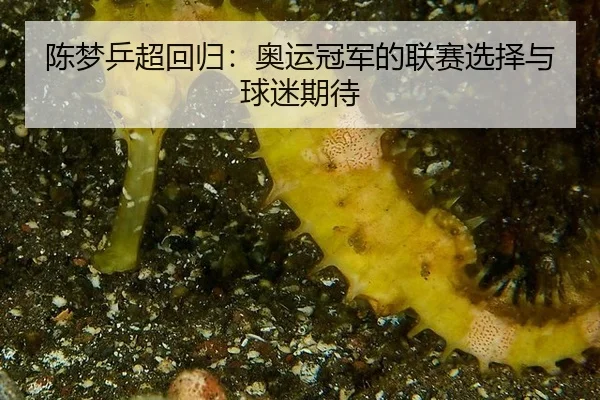 chen-meng-ping-chao-hui-gui-ao-yun-guan-jun-de-lian-sai-xuan-ze-yu-qiu-mi-qi-dai-2-896.jpg